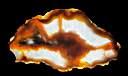 agate slice0005.JPG